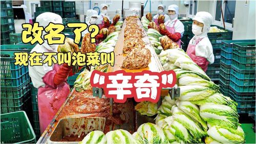 雨軒齋清真食品 堅(jiān)守“辛奇”品質(zhì)，踐行HACCP最高衛(wèi)生標(biāo)準(zhǔn)