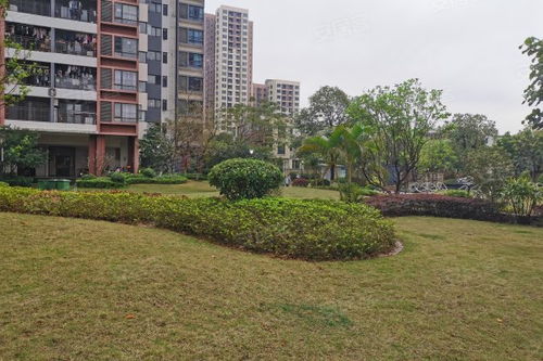 中惠松湖城深度解析 樓盤優勢、不足與周邊中介評價指南